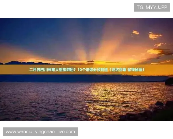 手机怎么玩球避坑指南彩票与数字高频玩法防骗