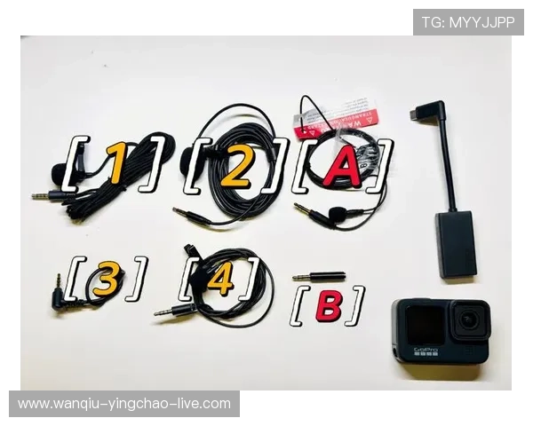 玩球看盘口用什么网避坑指南数字高频玩法防骗